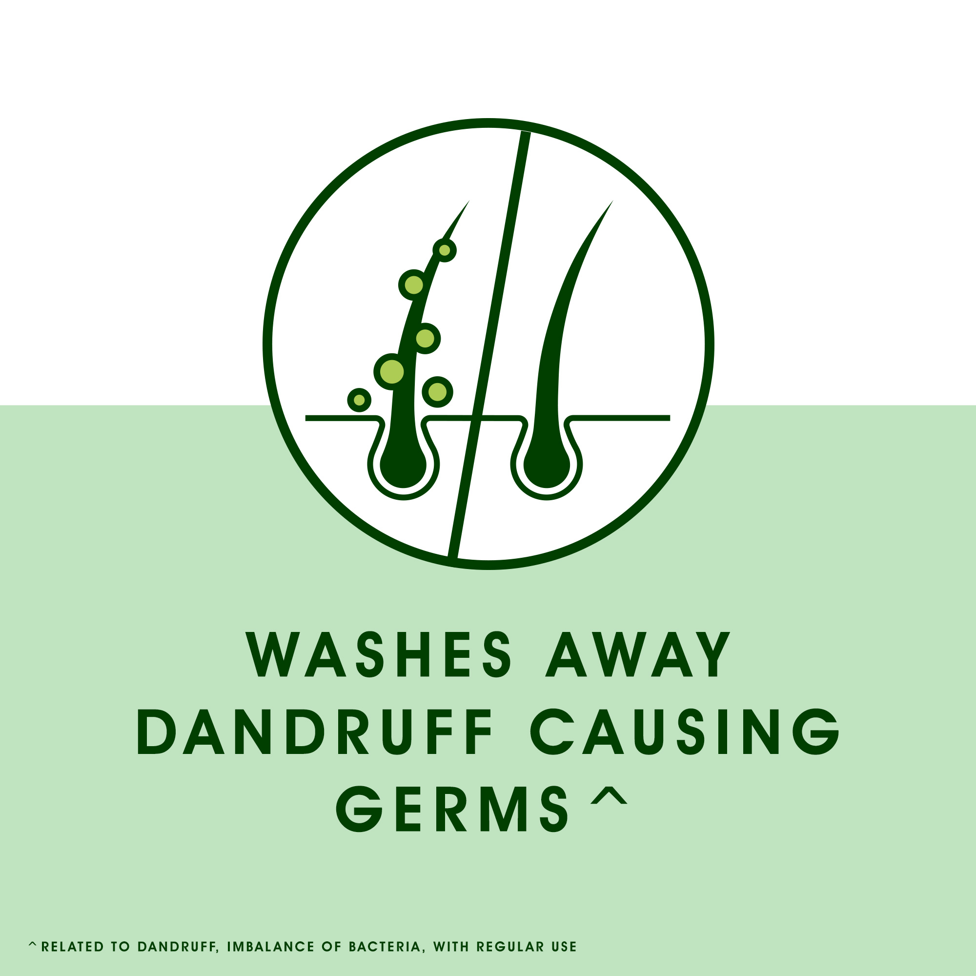 Head & Shoulders Neem, Anti Dandruff Shampoo, 340 ml - Image 7